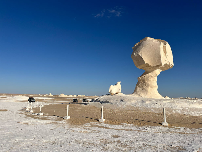 Tour oasi di Fayoum, Bahariya, deserto bianco e deserto nero egitto