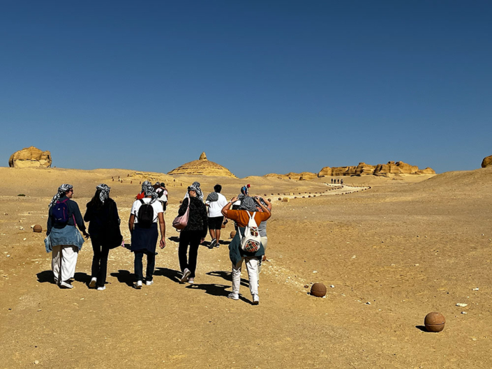 Tour gruppo Desert Safari Egyptian