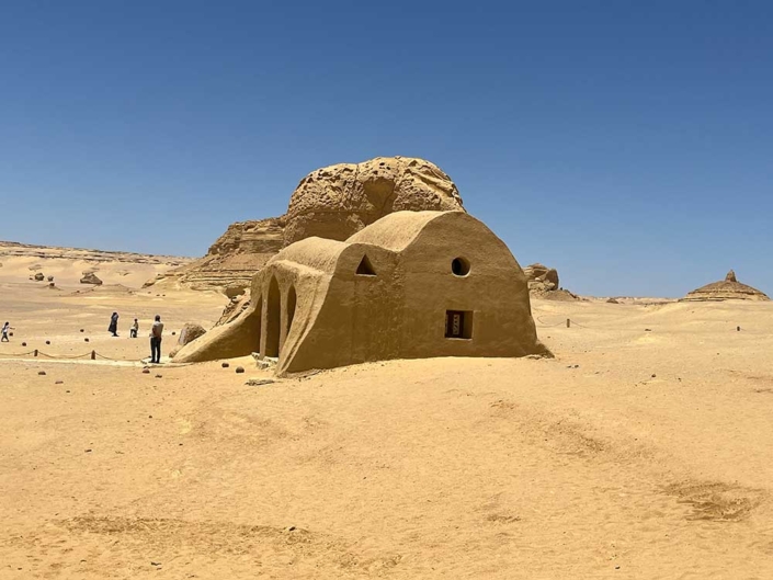Oasi di Fayoum - White Desert Experience Tour